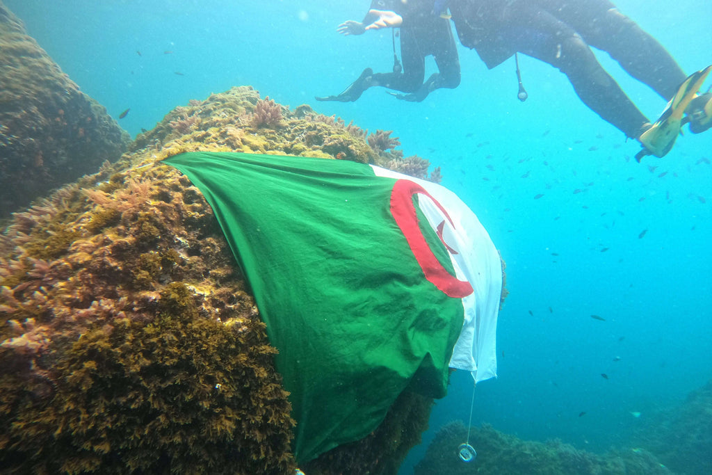 Baptême Plongée sous Marine à Oran - Île Plane, Safari & Détente | KeyinDZ Key in Dz