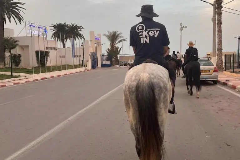 Balade à Cheval Oran — Plage Andalouses, Montagne & Forêt | Keyin-DZ Key in Dz