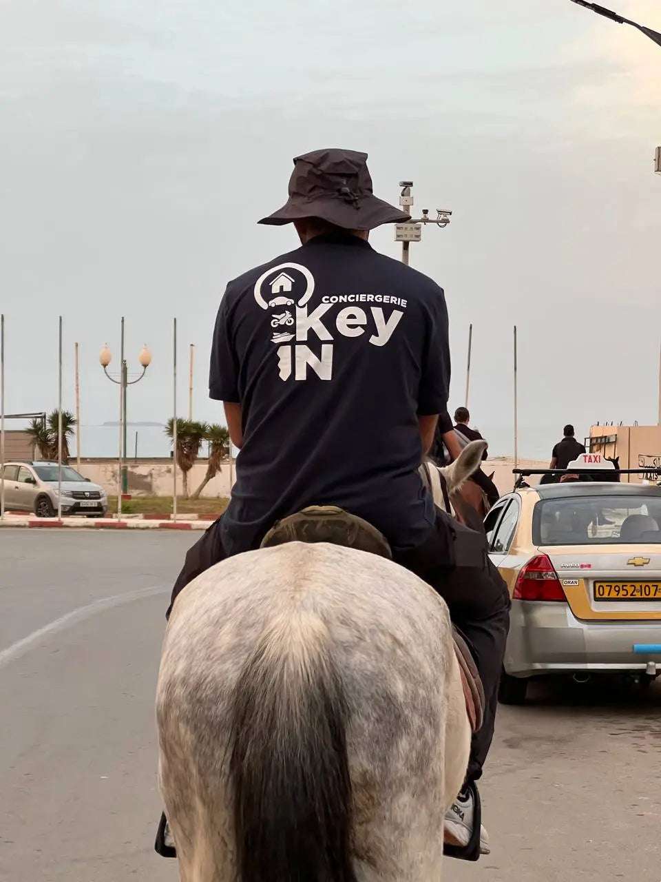Balade à Cheval Oran — Plage Andalouses, Montagne & Forêt | Keyin-DZ Key in Dz