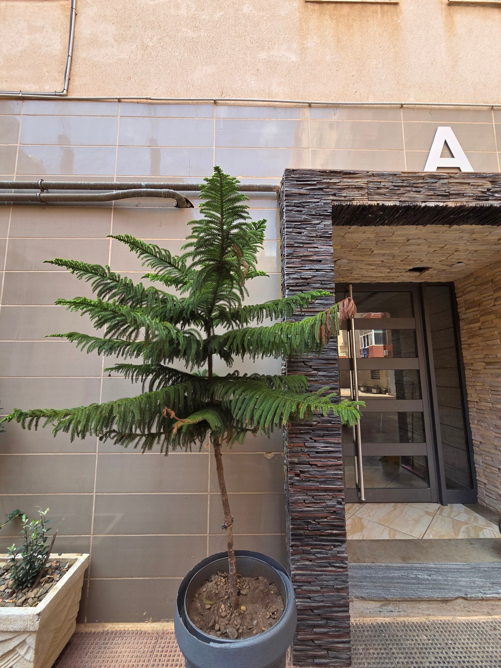 8 Pers. Grand F3 Résidence IMAD — Netflix & Fibre — Akid Lotfi / Frange Maritime, Oran