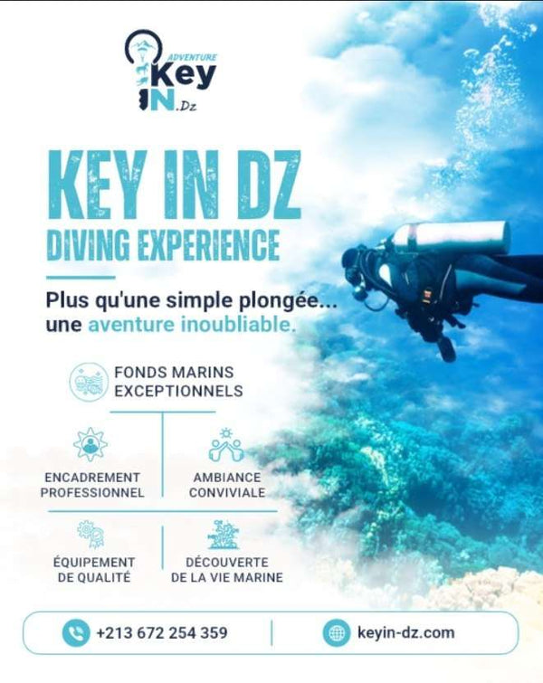 Activité Baptême Plongée sous Marine à Oran - Île Plane, Safari & Détente | Keyin-DZ